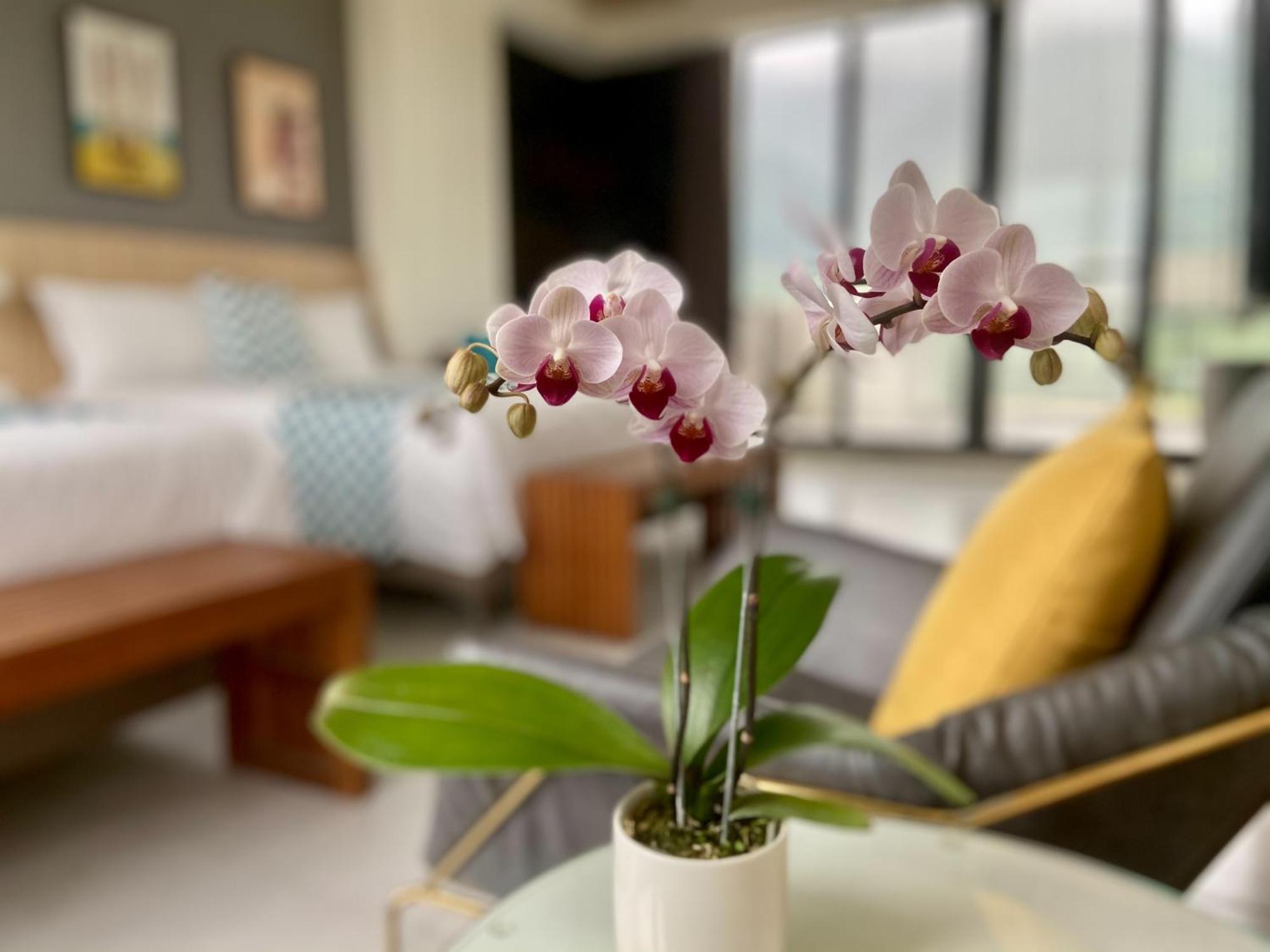 Follow The Cloud B&B Jialin Habitación foto